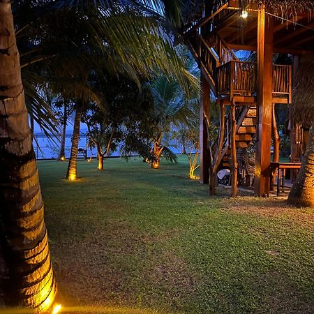 Yala Elephant Cottage Tissamaharama Eksteriør bilde